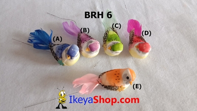 large2 BRH 6 b